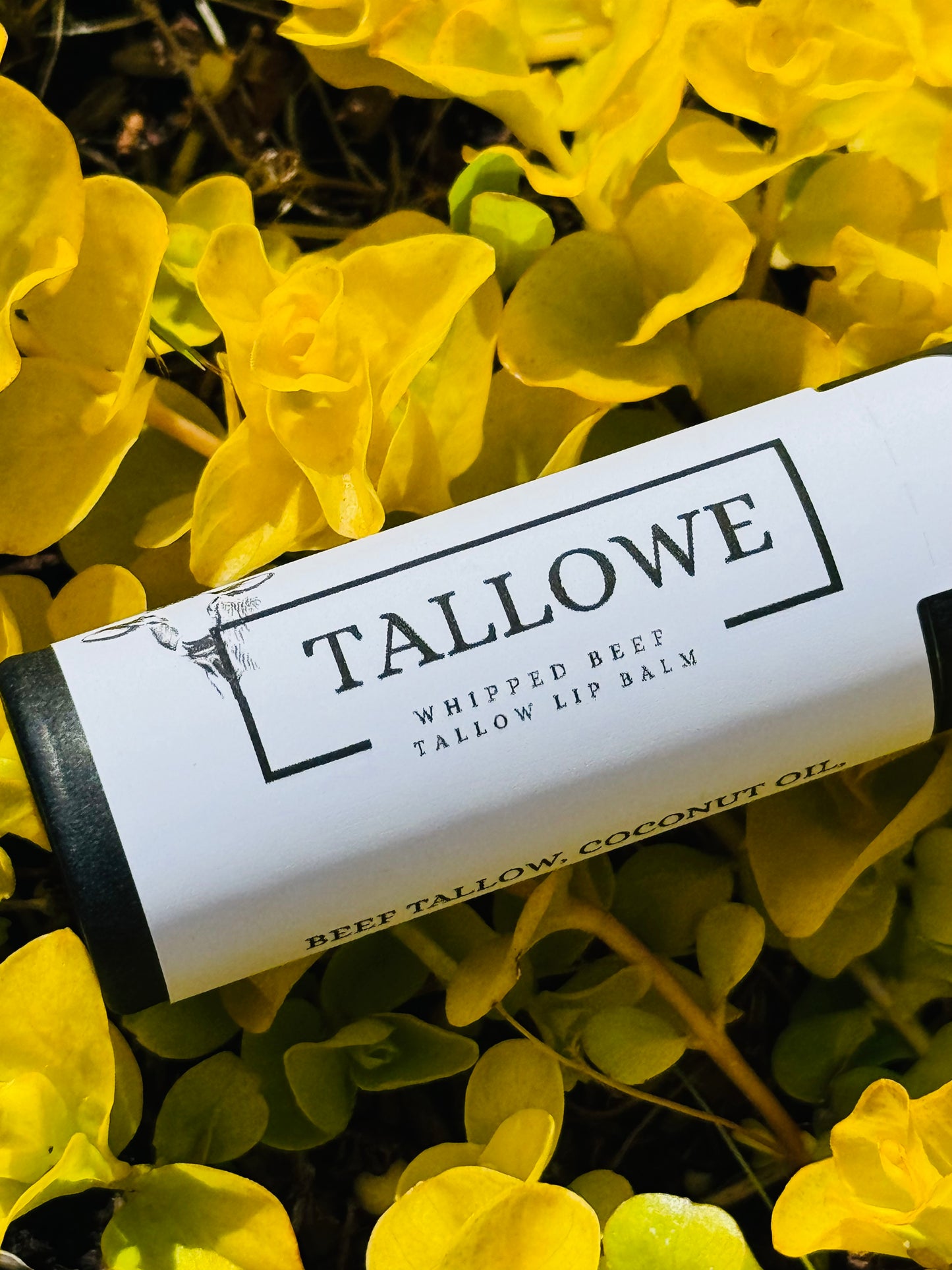 100% Grass Fed Beef Tallow Vanilla Coconut Lip Balm