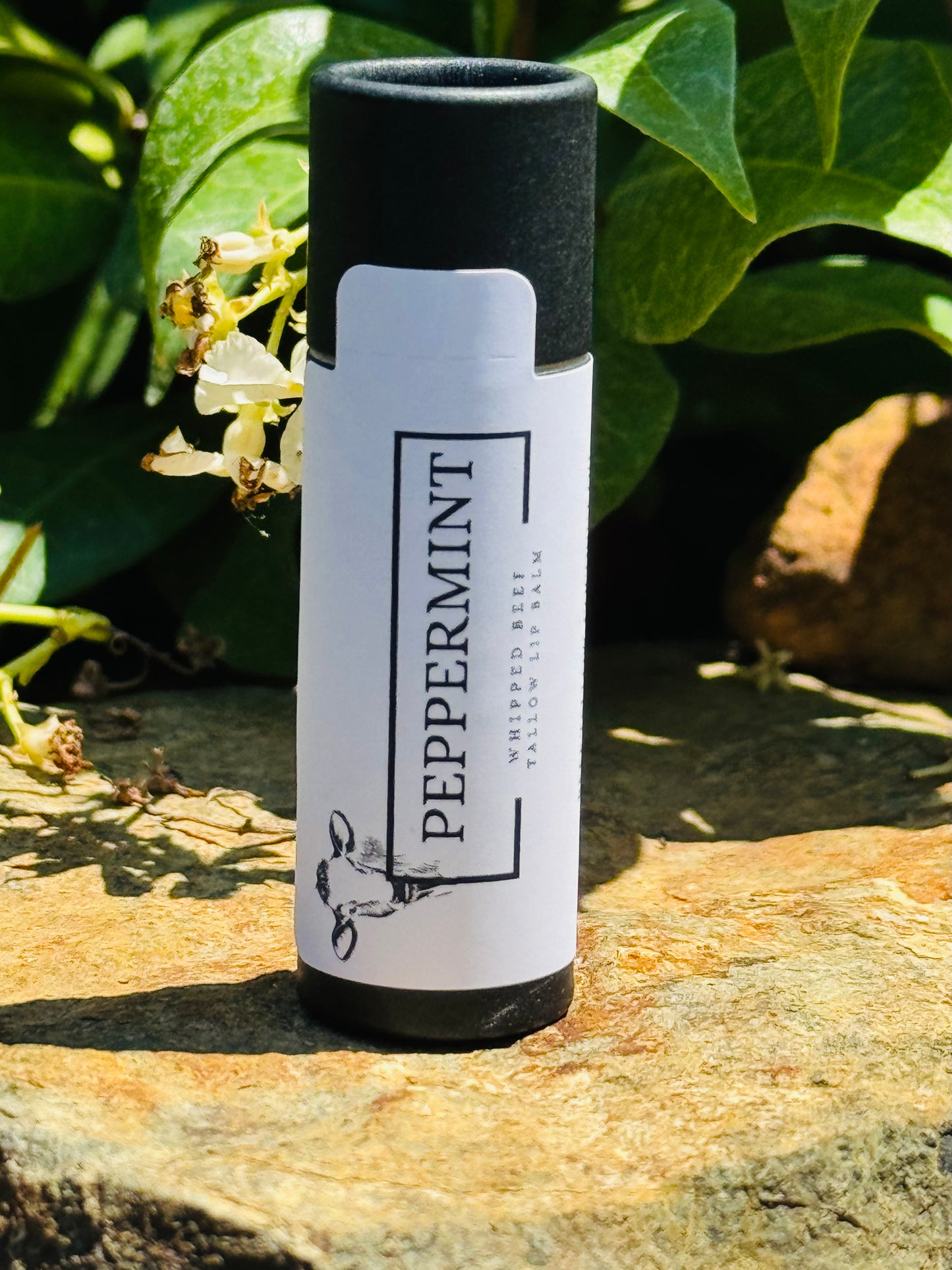 100% Grass Fed Beef Tallow Peppermint Lip Balm