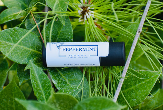 100% Grass Fed Beef Tallow Peppermint Lip Balm