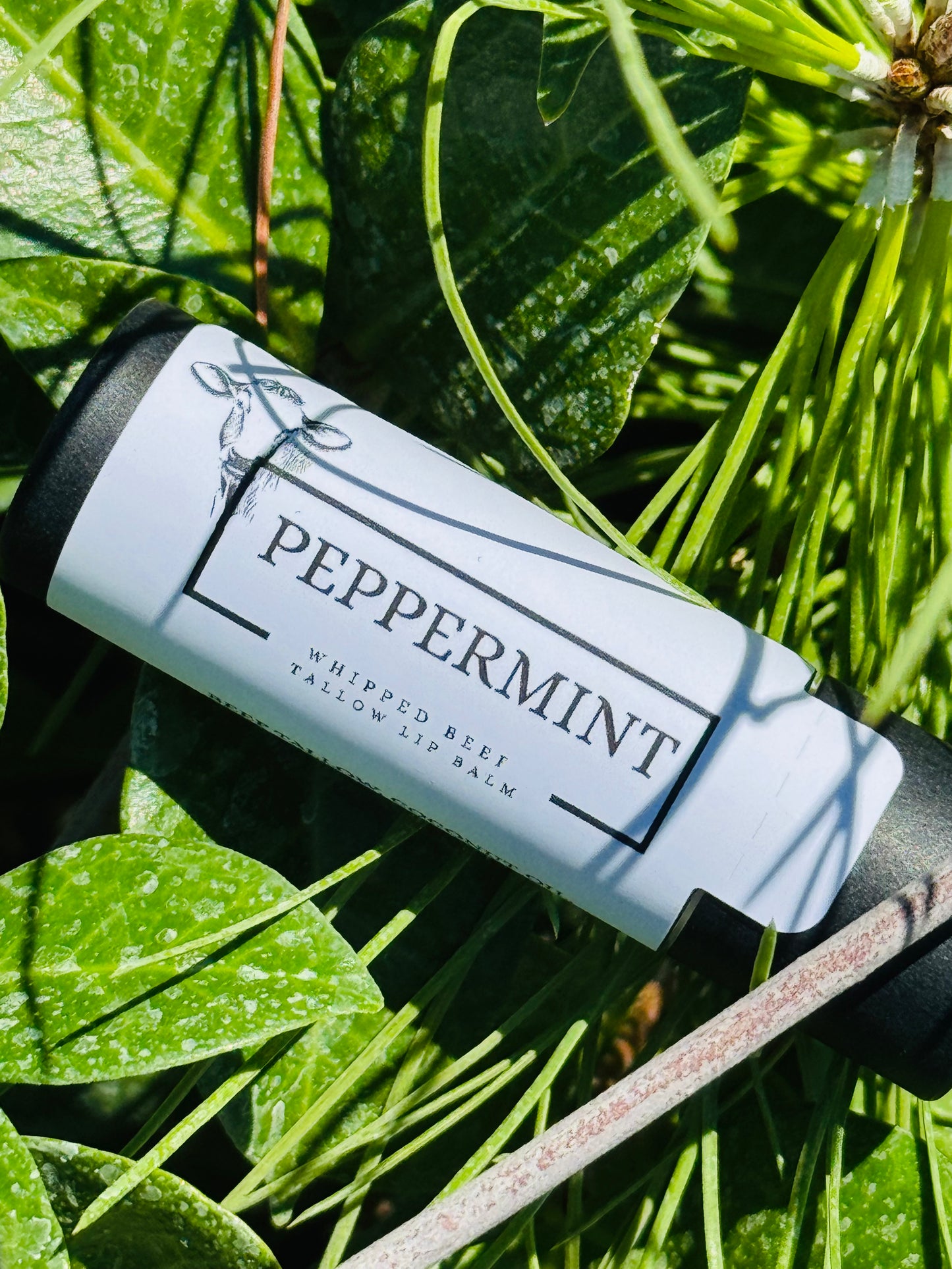 100% Grass Fed Beef Tallow Peppermint Lip Balm