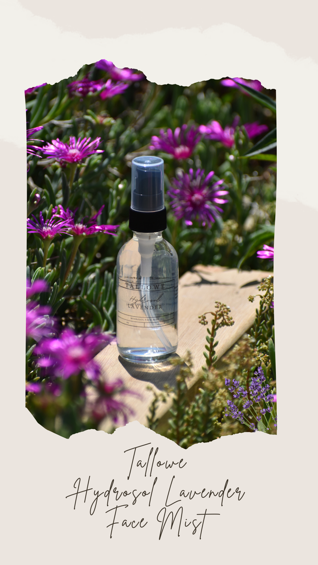 Lavender Hydrosol